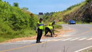 Polres blitar bersihkan longsor di jalan lintas selatan, amankan akses wisata pantai serang dan tambakrejo 10 Img 20250411 wa0005 - patria pos