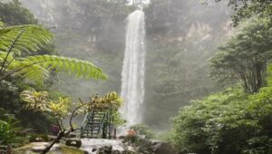 Menjelajahi pesona malang: 7 destinasi wisata yang tak boleh dilewatkan 2 Img 20250402 073823 - patria pos