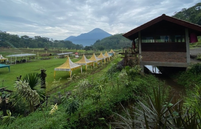 Jelajahi Pesona Kabupaten Mojokerto: 8 Surga Wisata Tersembunyi di Jawa Timur 2025 - Patriapos