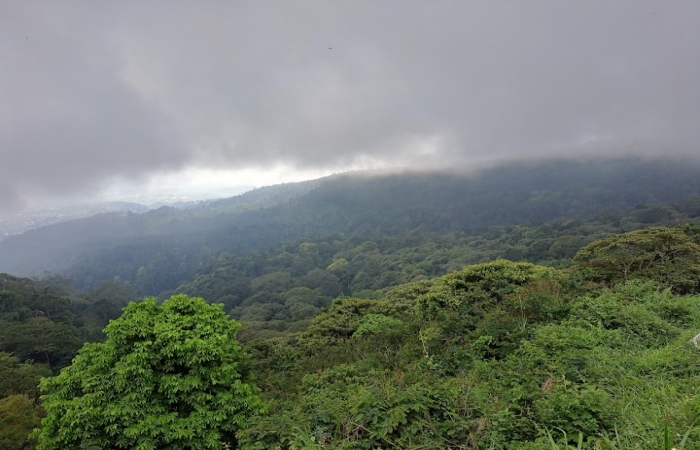 Jelajahi Pesona Kabupaten Mojokerto: 8 Surga Wisata Tersembunyi di Jawa Timur 2025 - Patriapos