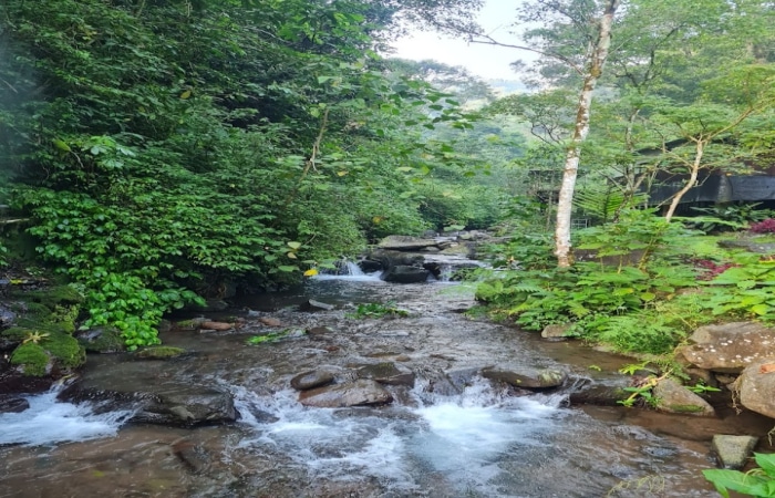 Jelajahi Pesona Kabupaten Mojokerto: 8 Surga Wisata Tersembunyi di Jawa Timur 2025 - Patriapos