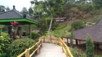 7 Destinasi Wisata Terbaru di Madiun yang Wajib Dikunjungi: Nikmati Keindahan Alam dan Budaya Kota Gadis