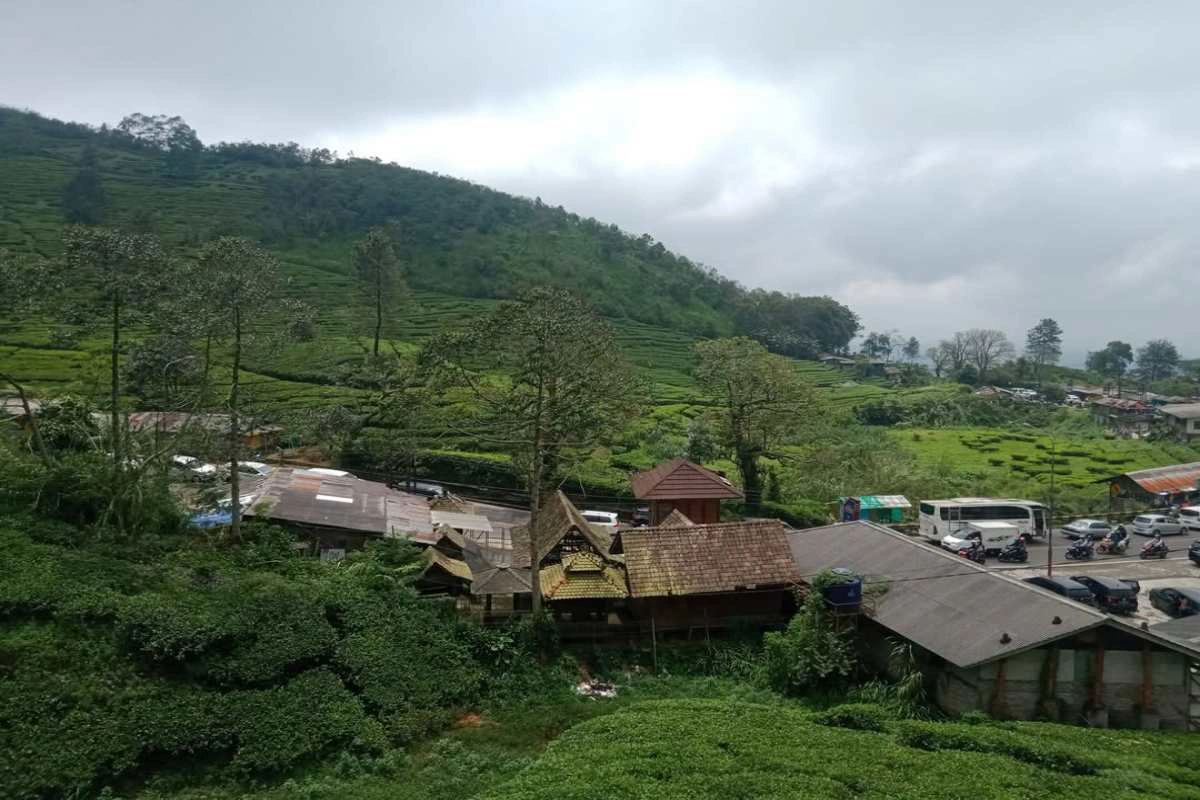 5 wisata terbaru di bogor 2025 yang lagi viral, wajib masuk bucket list! 4 Destinasi wisata agrowisata puncak mas