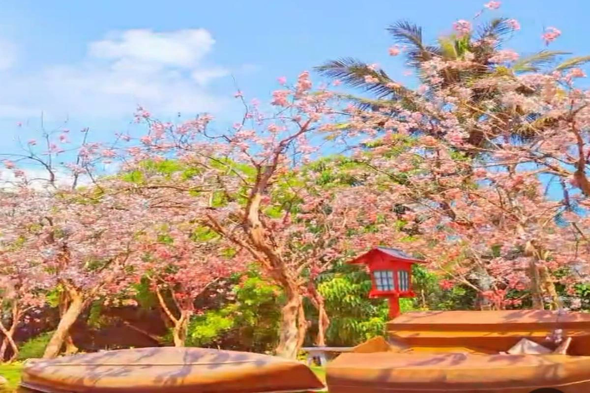 5 wisata terbaru di bogor 2025 yang lagi viral, wajib masuk bucket list! 1 Destinasi wisata minimania puncak bogor