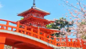 5 wisata terbaru di bogor 2025 yang lagi viral, wajib masuk bucket list! 1 Destinasi wisata minimania puncak bogor