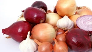 8 tanaman pengusir ular yang efektif dan alami untuk pekarangan rumah 2 Ilustrasi bawang merah dan bawang putih