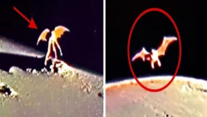Penemuan spektakuler teleskop james webb mengungkap tanda-tanda kehidupan di eksoplanet k2-18b 1 Ilustrasi mahluk di luar angkasa - patria pos