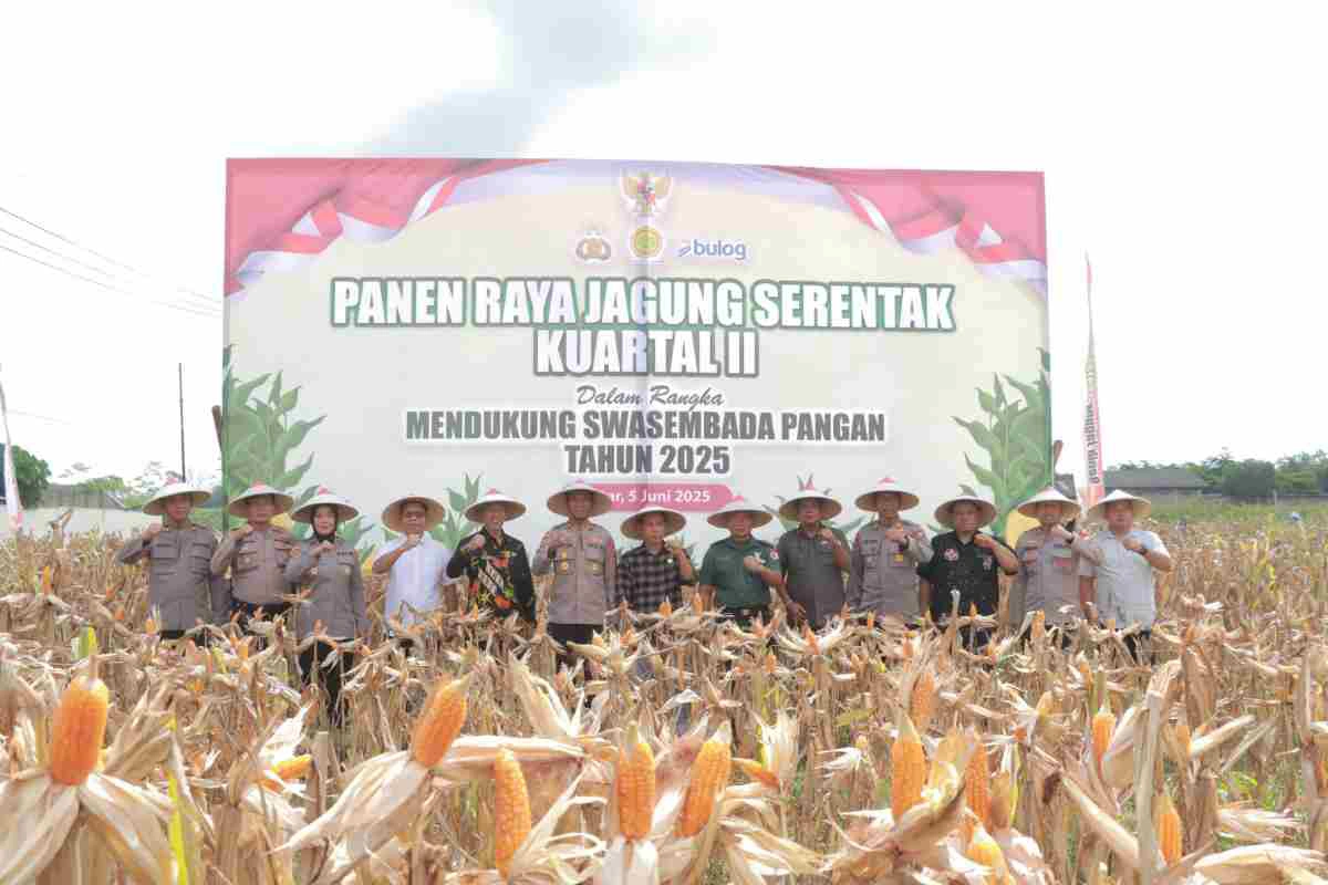 Polres Blitar menggelar kegiatan Panen Jagung di lahan jagung samping Mapolres Blitar dalam rangka mendukung program ketahanan pangan nasional