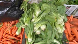 Sayuran seperti wortel dan sawi di pasar Tulungagung, harganya masih terkendali awal September 2025.