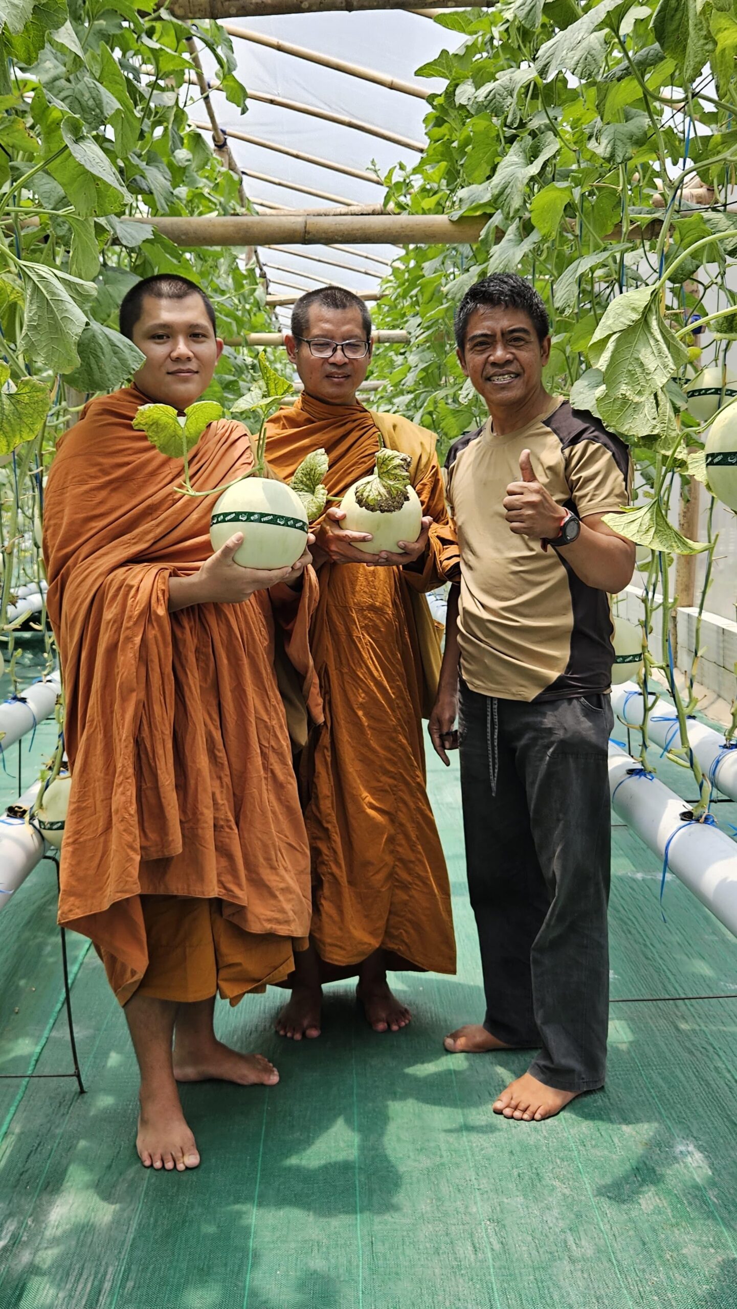 Dari Panggung Politik ke Ladang Melon: Kisah Bayu Setyo Kuncoro Menanam Harapan di Blitar - Patriapos