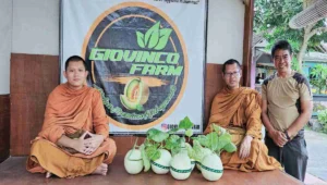 Sekretaris DPC PDI Perjuangan Kota Blitar, Bayu Setyo Kuncoro, menerima kunjungan sejumlah biksu di kebun hidroponik Giovinco Farm miliknya di Kelurahan Gedog, Kecamatan Sananwetan, Kota Blitar.