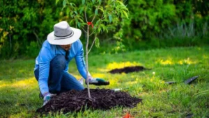 Ilustrasi aksi nyata menjaga kelestarian alam.