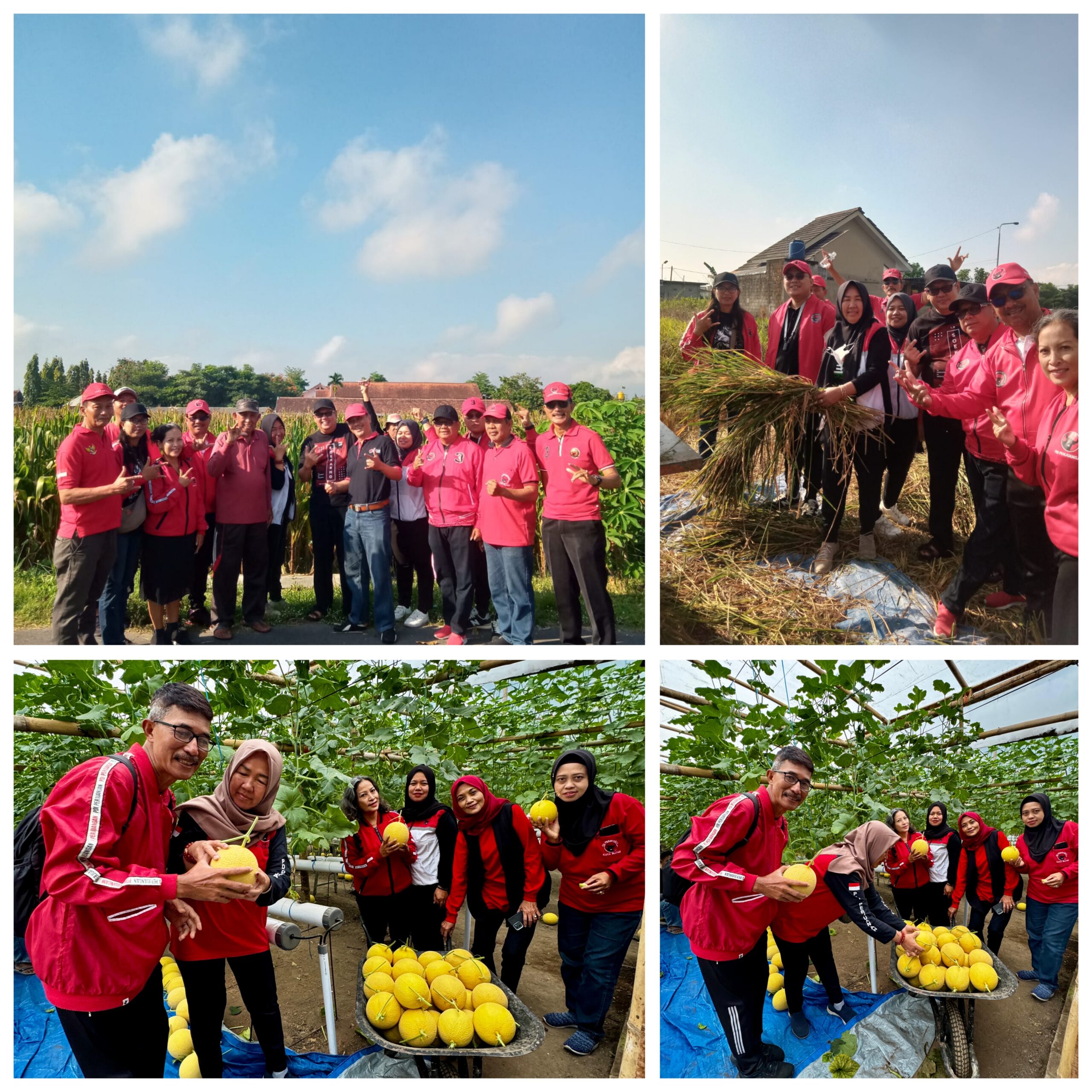Jajaran DPC dan Fraksi PDI Perjuangan Kota Blitar berdialog langsung dengan petani di Kelurahan Pakunden dan Gedog untuk menyerap aspirasi serta meninjau kondisi pertanian.