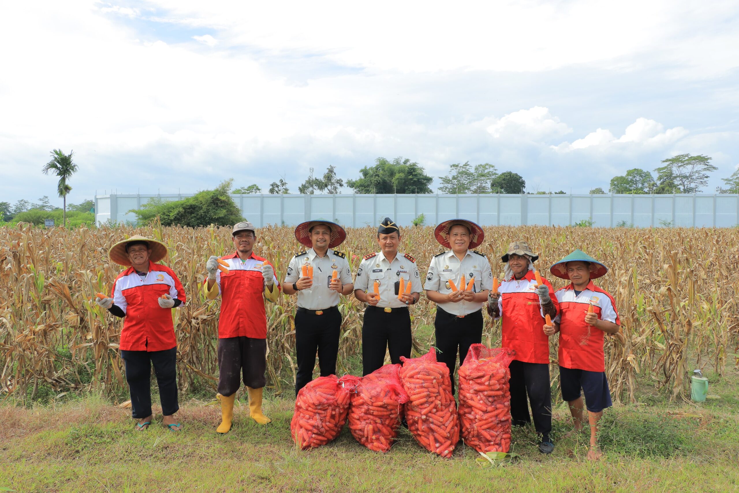 Jajaran Lapas Kelas IIB Blitar bersama warga binaan menunjukkan hasil panen jagung di lahan Sarana Asimilasi dan Edukasi (SAE) sebagai bagian dari program pembinaan kemandirian dan ketahanan pangan.