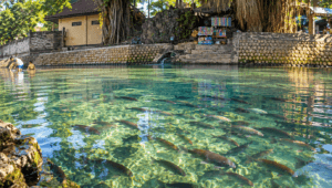 Goa Ngerong