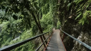 Penampakan jalur baru menuju Goa Tetes Lumajang yang kini mempermudah akses wisatawan