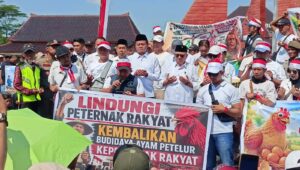 Wabup Beky Dorong Solusi untuk Peternak, Serapan Telur MBG Dinilai Jadi Kunci Stabilitas Harga - Patriapos