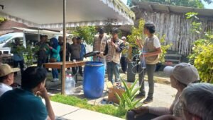 Bukan Cuma Kekeringan, Kemarau Panjang 2026 Bisa Picu Ledakan Hama Padi - Patriapos