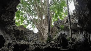 Pesona Gua Jedog Blitar Dari Perbukitan Kapur, Kelelawar, hingga Kisah Syekh Bela Belu Pesona Gua Jedog Blitar Dari Perbukitan Kapur, Kelelawar, hingga Kisah Syekh Bela Belu - Patriapos