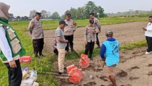 Petugas Polsek Wlingi bersama kelompok tani melakukan persiapan dan penanaman jagung di lahan kosong sekitar setengah hektare di wilayah Desa Bening, Kelurahan Beru, Kecamatan Wlingi, Kabupaten Blitar, Rabu (30/9/2026).