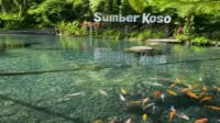 Sumber Koso Ngawi, Wisata Mata Air Jernih di Lereng Lawu
