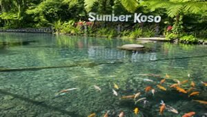Sumber Koso