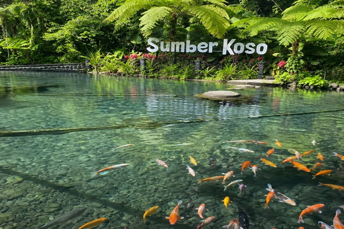Sumber Koso