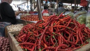 Harga cabai merah keriting di pasaran Kota Kediri tercatat naik Rp8.333 per kilogram dalam sepekan.