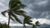BMKG Keluarkan Peringatan Angin Kencang, Jawa Timur Masuk Daftar 10 Wilayah