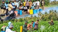 Bhabinkamtibmas Margomulyo Turun ke Lahan Jagung, Bantu Petani Kendalikan Hama