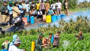 Bhabinkamtibmas Desa Margomulyo Bripka Arif Bangun Utama mendampingi petani dalam kegiatan penyemprotan insektisida dan pestisida pada tanaman jagung di wilayah Kecamatan Panggungrejo, Kabupaten Blitar, Senin (12/10/2026).