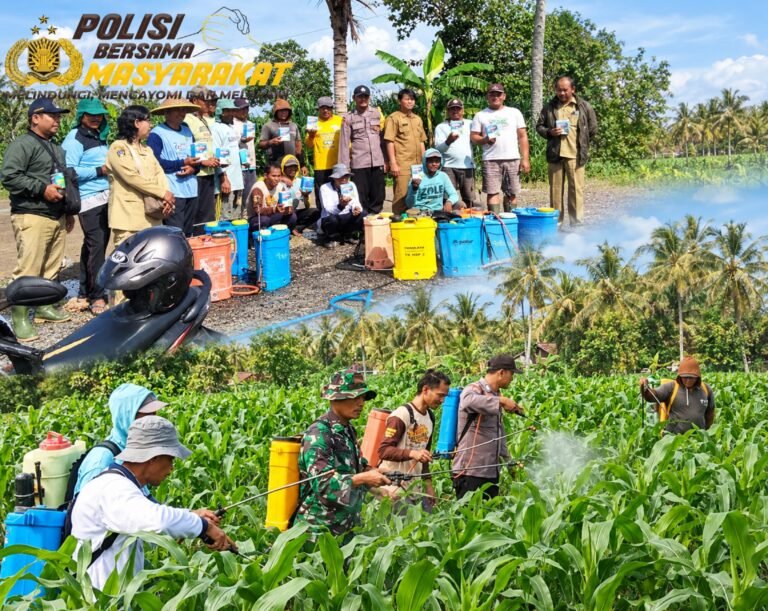 Bhabinkamtibmas Desa Margomulyo Bripka Arif Bangun Utama mendampingi petani dalam kegiatan penyemprotan insektisida dan pestisida pada tanaman jagung di wilayah Kecamatan Panggungrejo, Kabupaten Blitar, Senin (12/10/2026).