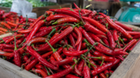 Harga Bahan Pokok Jatim 3 Oktober 2026: Cabai Merah Besar Naik Rp6.134 per Kg