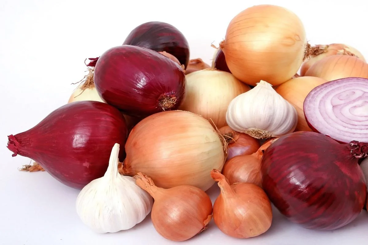 Ilustrasi Bawang Merah dan Bawang Putih