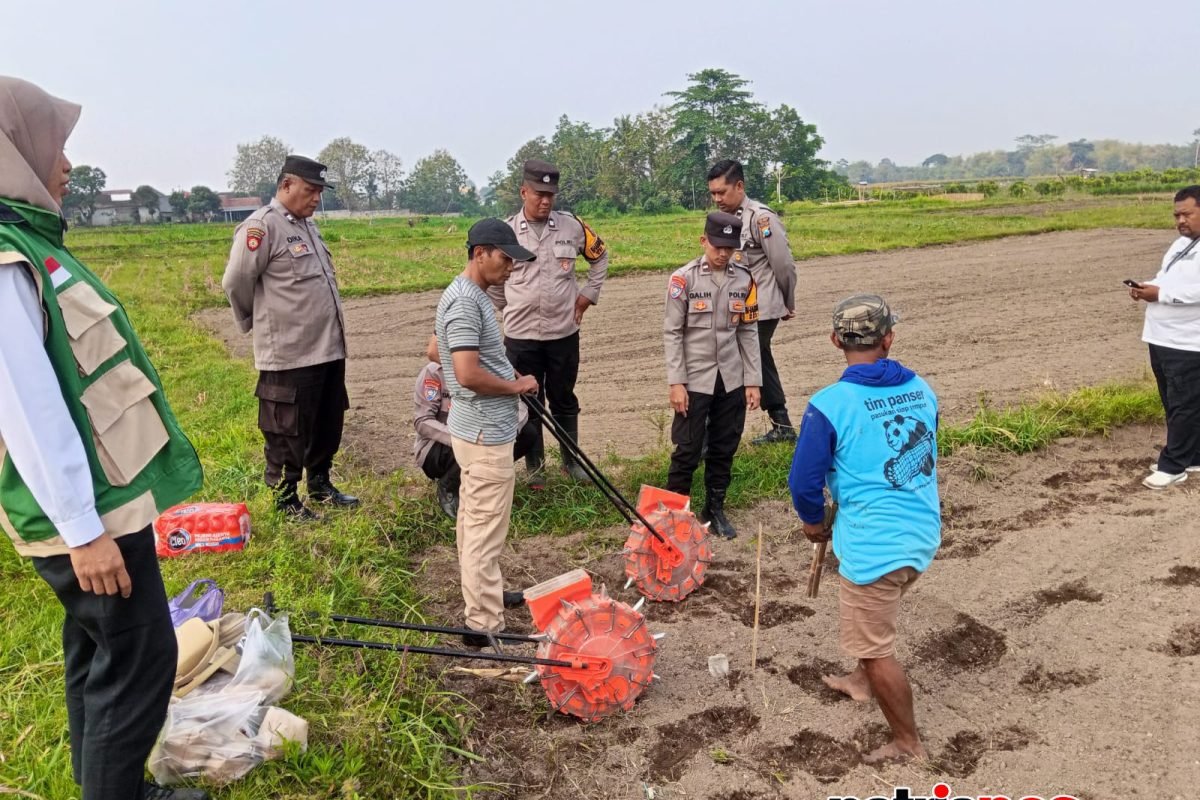 Petugas Polsek Wlingi bersama kelompok tani melakukan persiapan dan penanaman jagung di lahan kosong sekitar setengah hektare di wilayah Desa Bening, Kelurahan Beru, Kecamatan Wlingi, Kabupaten Blitar, Rabu (30/9/2026). Petugas Polsek Wlingi bersama kelompok tani melakukan persiapan dan penanaman jagung di lahan kosong sekitar setengah hektare di wilayah Desa Bening, Kelurahan Beru, Kecamatan Wlingi, Kabupaten Blitar, Rabu (30/9/2026).