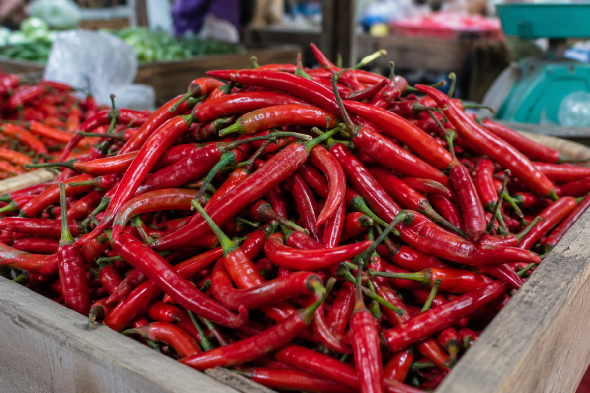 Cabai merah besar di lapak pasar tradisional, salah satu komoditas pangan yang mengalami kenaikan harga di Jawa Timur. Cabai merah besar di lapak pasar tradisional, salah satu komoditas pangan yang mengalami kenaikan harga di Jawa Timur.