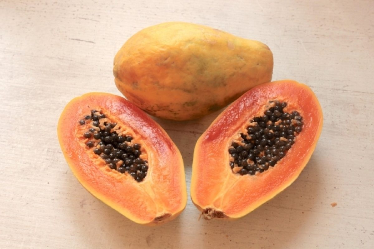 Ilustrasi Buah Pepaya